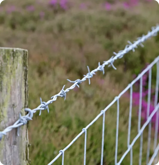 Barbed Wire Fence-image