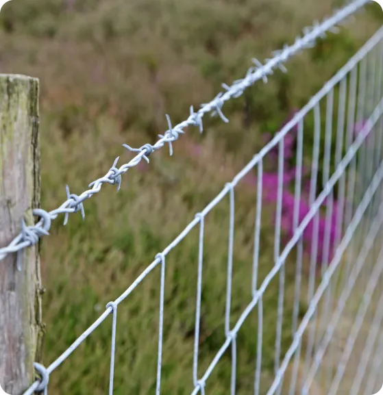 High-Tensile Wire Fence-image