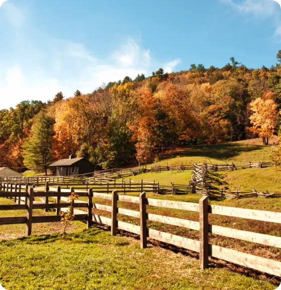 Post and Rail Fence-image