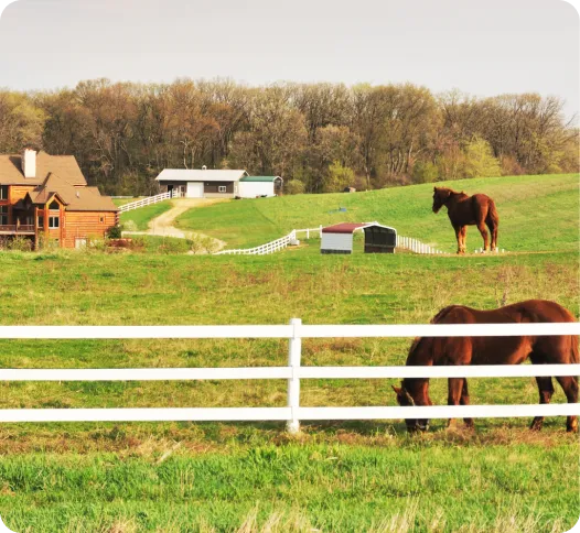 Ranch Style Vinyl Fence-image