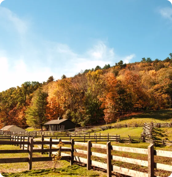 Split Rail Fence-image